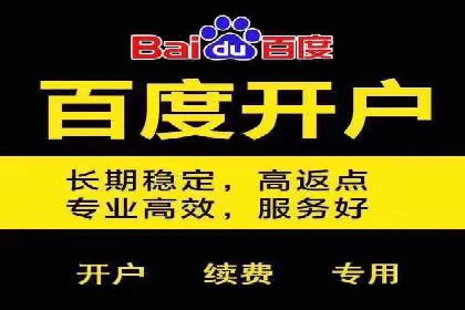 SEM竞价优化技巧：案例解析提升广告投放效果
